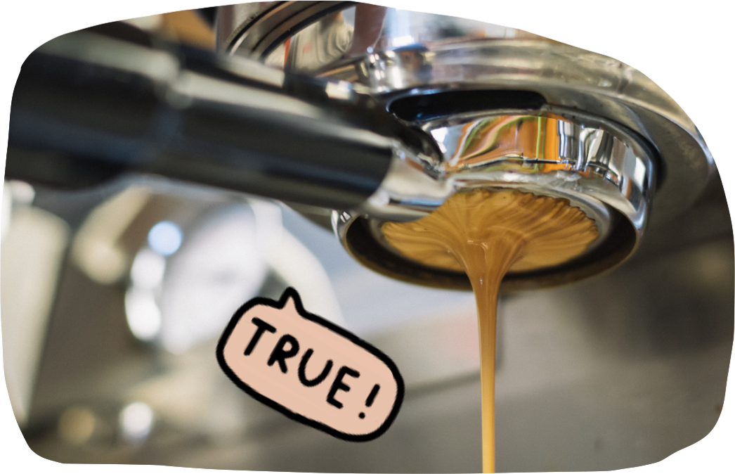 TRUESDAY Speciality Coffee ist auch geeignet für Siebträgermaschinen. Der hohe Druck mit der das Wasser durch die Siebträgermaschine läuft verleiht dem Kaffee eine ganz besondere Crema. Unsere Kaffeebohnen sind für Filterkaffe und Espresso geeignet. 