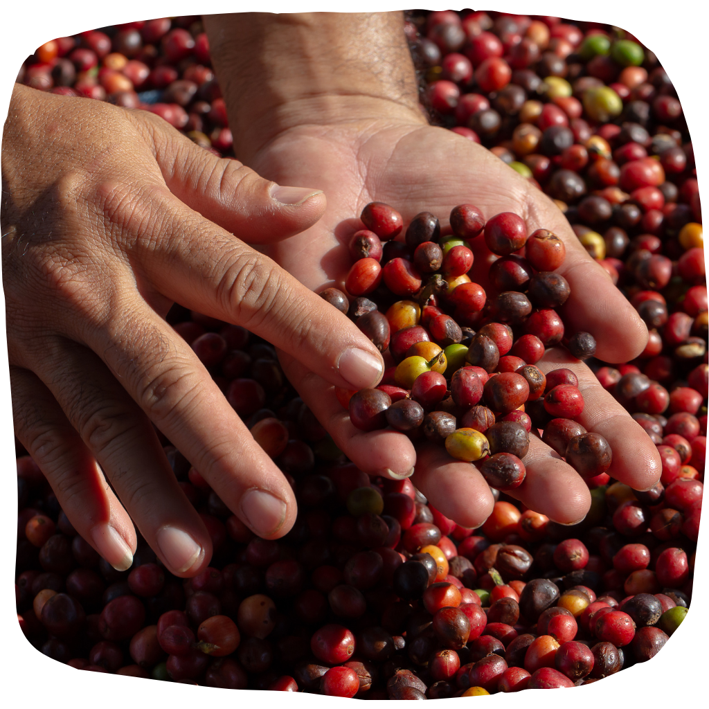 Environmental protection far beyond organic standards