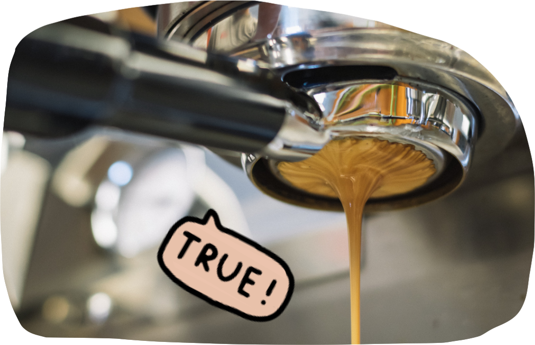 TRUESDAY Speciality Coffee is also suitable for portafilter machines. The high pressure with which the water runs through the portafilter machine gives the coffee a very special crema. Our coffee beans are suitable for filter coffee and espresso. 